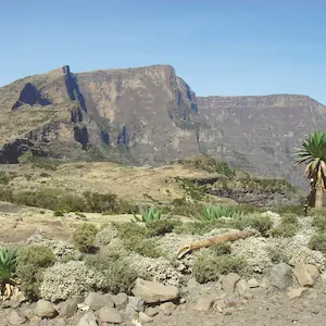 Simien Mountains National Park
