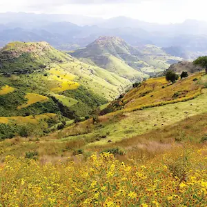 Simien Foothills