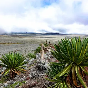 Sanetti Plateau