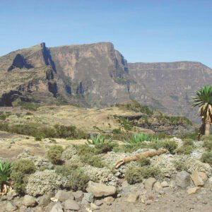 Simien Mountains National Park
