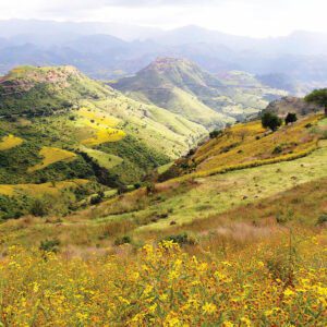 Simien Foothills